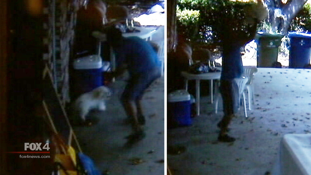 Attempted burglar brutally kills Garland family dog