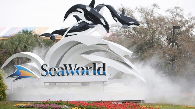 SeaWorld CEO resigns after less than a year on the job