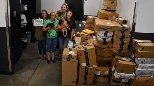 Amazon packages sent from across the country to help animal shelter ride out Florence