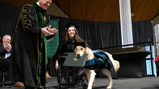 Service dog receives honorary diploma from Clarkson University