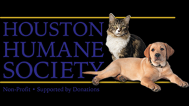 Pet Emergency Preparedness