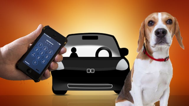App developed to tell when dog is too hot in the car