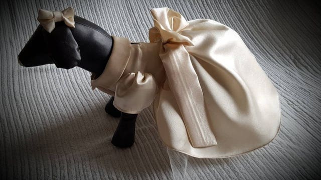 Bridesmaid dresses for dogs make for the most adorable bridal party ever