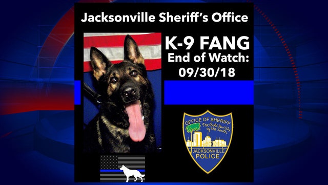 Teen faces adult charges in killing of police K-9 named Fang