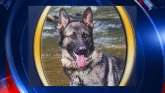 FDLE: Kissimmee K9 officer left in hot patrol car