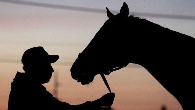 Nyquist early favorite to win Kentucky Derby