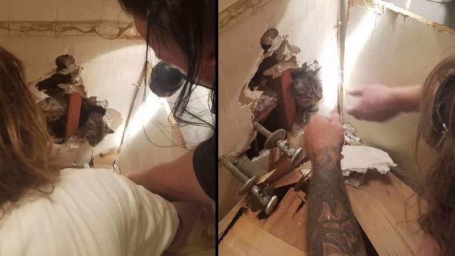 Kitten rescued after 5 days trapped in walls of apartment complex