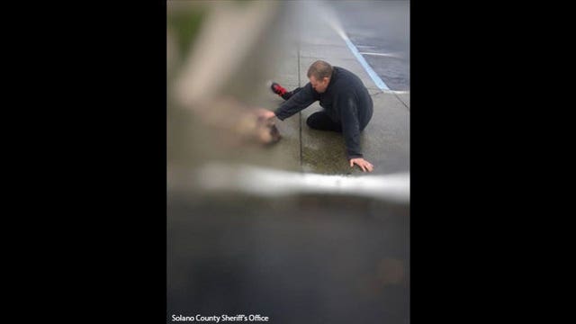 Good Samaritan helps injured dog