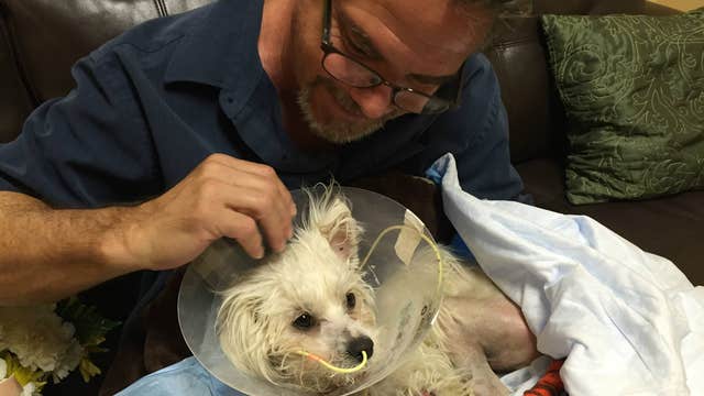 UPDATE: The Maltese ‘Miracle'