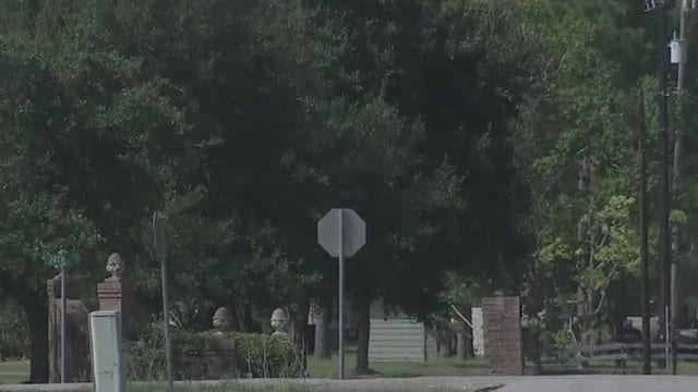 Monkey on the loose in Santa Fe, described as 'aggressive': police