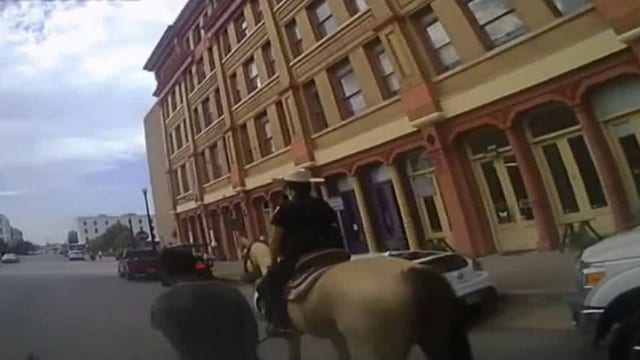 Donald Neely, subject of controversial Galveston arrest, speaks out about his experience