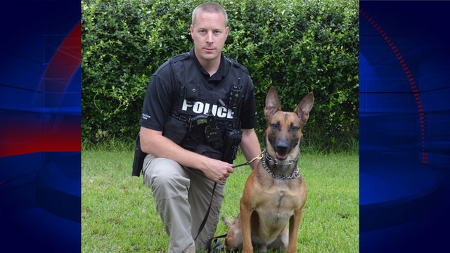 K-9 suffers from mini-stroke in his spinal cord while exercising