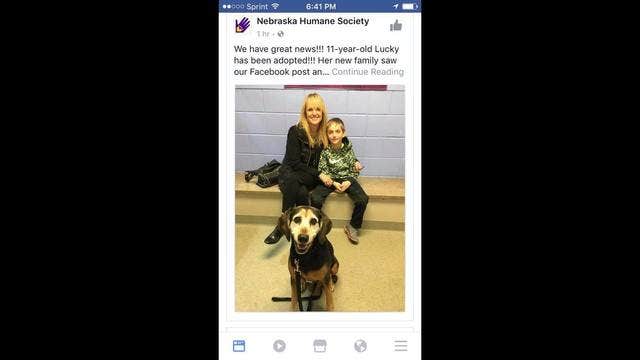 Old girl gets a second chance,