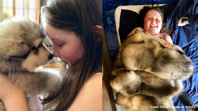 Girl fighting rare cancer gets puppy pick-me-up