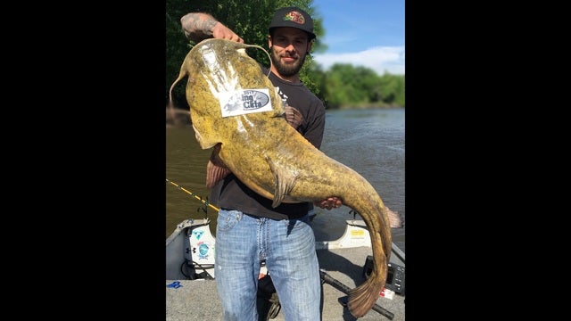 Minnesota man ties own record for largest flathead catfish