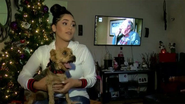 After four years, stolen dog returns home in time for Christmas