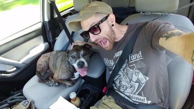 Veteran travels cross country to get service dog medical procedure