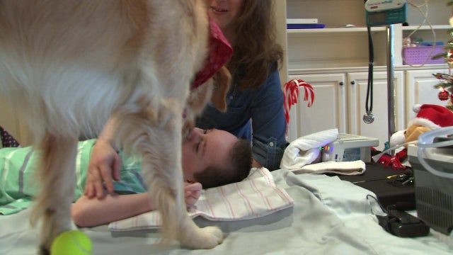 Remarkable bond between medically-fragile boy, rescued dog