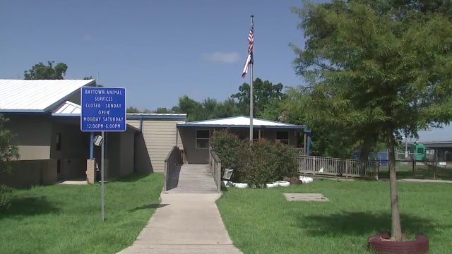 Baytown animal control officers charged in improper euthanizing