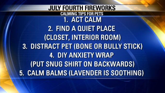 Keeping dogs calm during fireworks