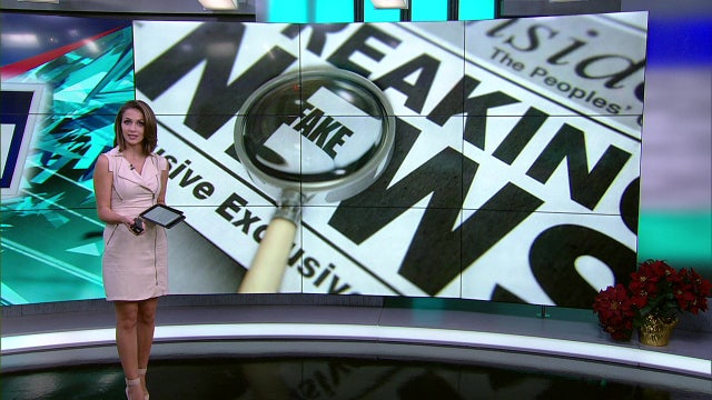 Was That Fake? - disruptive fish orgies