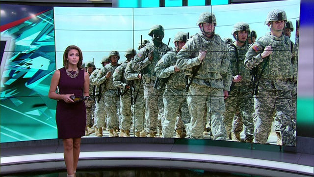 Operation Guardian Shield on U.S.-Mexico border