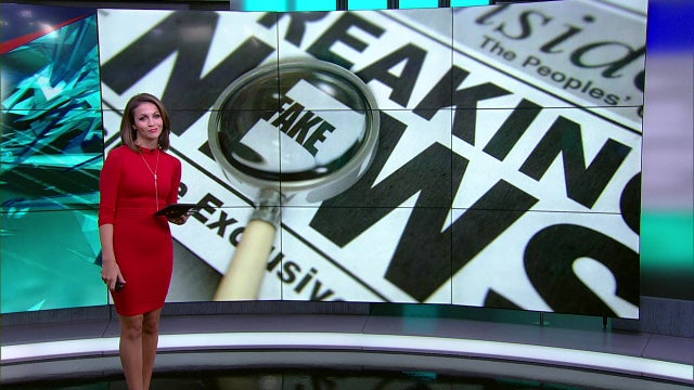 Was That Fake? - shark bites off Greenpeace activist's arm