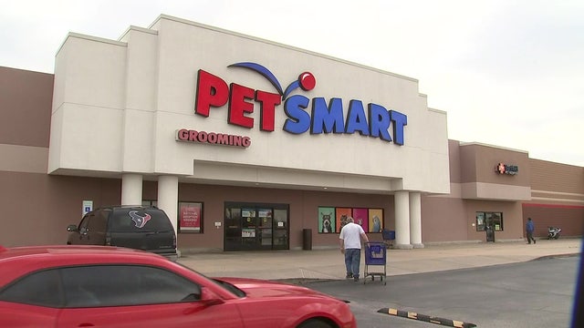 Dog groomer fired after video surfaces