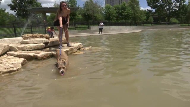 Harvey-damaged dog park reopens for first time in ten months