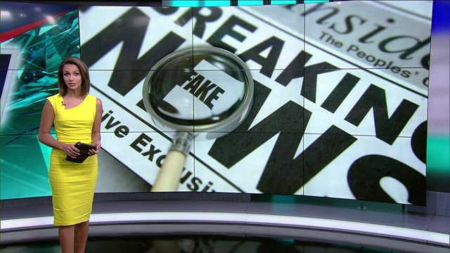 Was That Fake? - illness in dogs from tennis balls