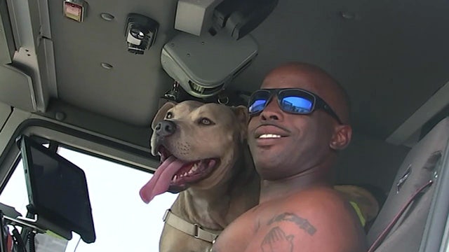 Heroes and Hounds calendar party on Sept. 28