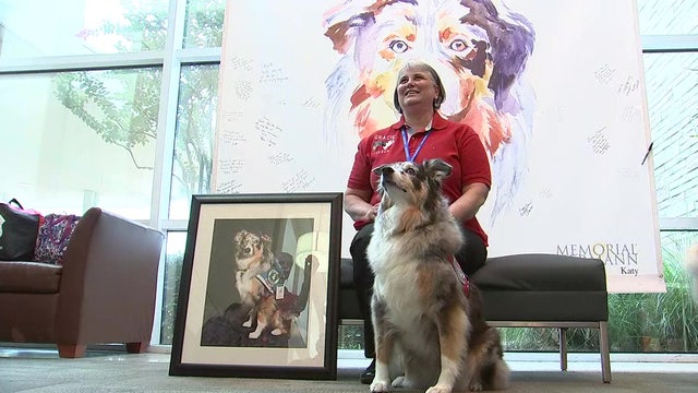 Popular therapy dog retires after almost decade of service