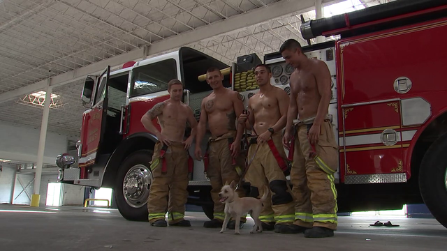 Galveston firefighters shoot calendar to raise money for Humane Society
