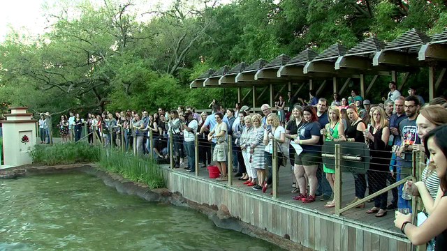 Bayou City Buzz - Brew at the Zoo