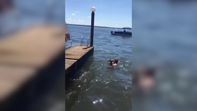 Deer rescued from Lake Conroe