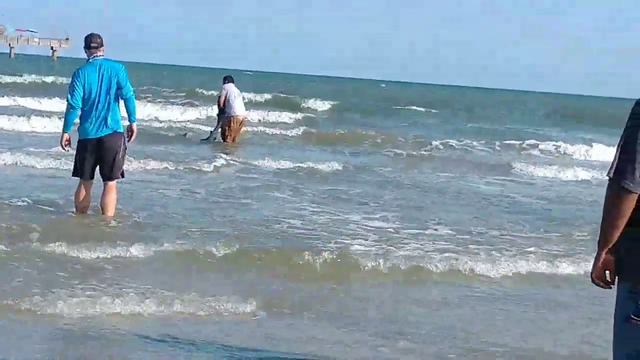 Fishermen get into water to free 7-foot shark in Galveston