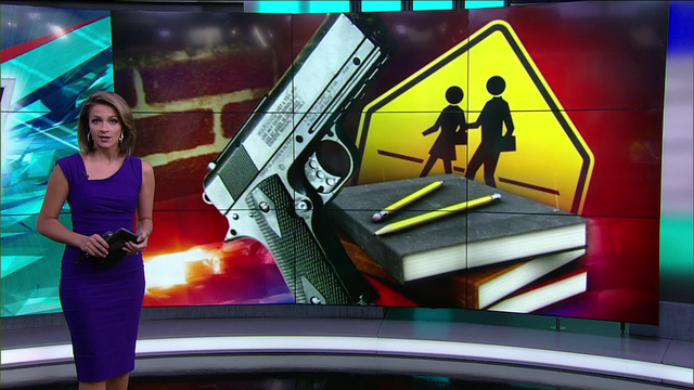 The Breakdown - school safety