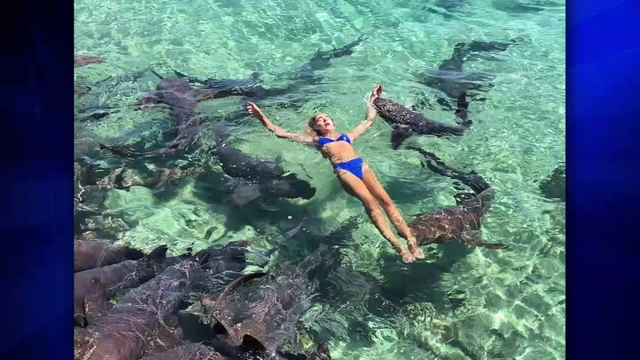 Instagram model bitten by shark while posing for pictures