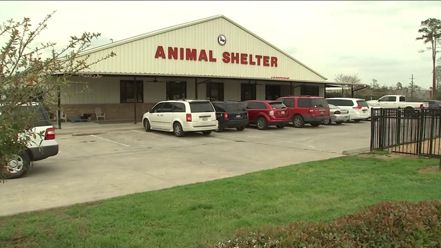 Montgomery County Animal Shelter officials under criminal investigation