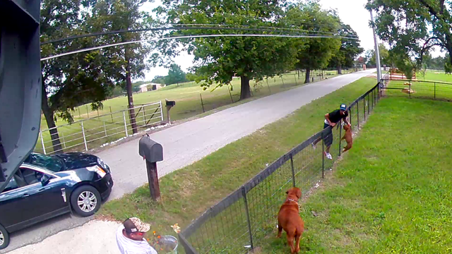 Mesquite PD: Puppy stolen from backyard recovered