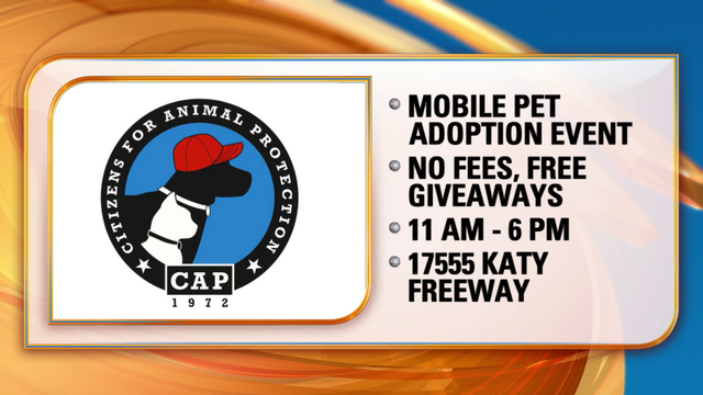 Fees waived at world's largest mobile pet adoption event in Houston