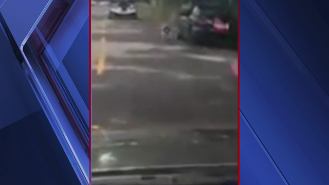 Residents upset after woman caught walking dog while driving car