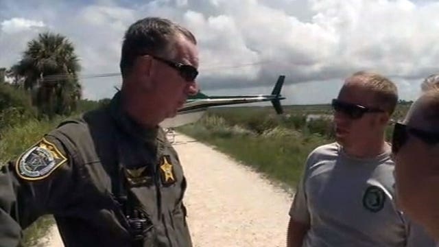 Search is on for wayward manatee