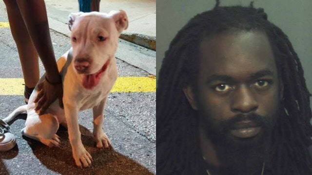 Investigators: Man dangled dog over balcony to 'get back at girlfriend'