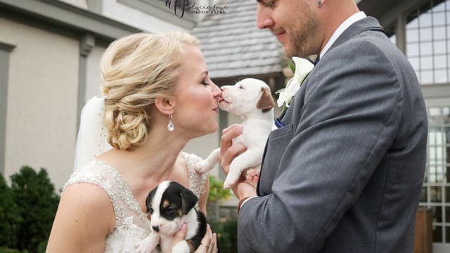 Maple Grove, Minn. couple picks puppies over flowers on their wedding day