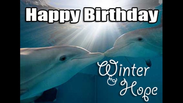 Birthday festivities for Winter and Hope