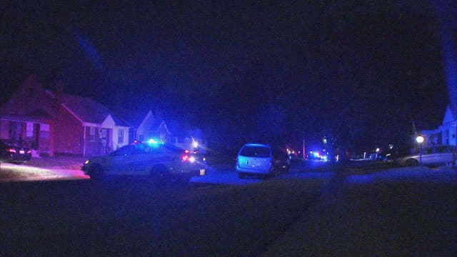 4-year-old girl killed in Michigan go-kart crash