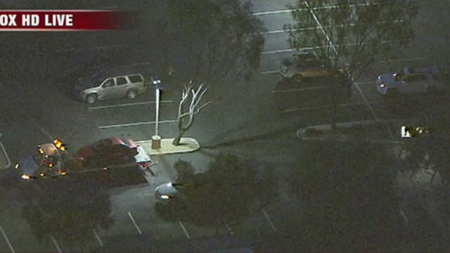 Woman claims OnStar directed her to drive wrong way on valley freeway