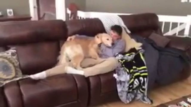 Army pilot returns from deployment, surprises dog