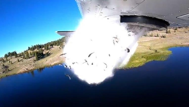 353e748f-1535659715242_1535671633969-404023.jpg